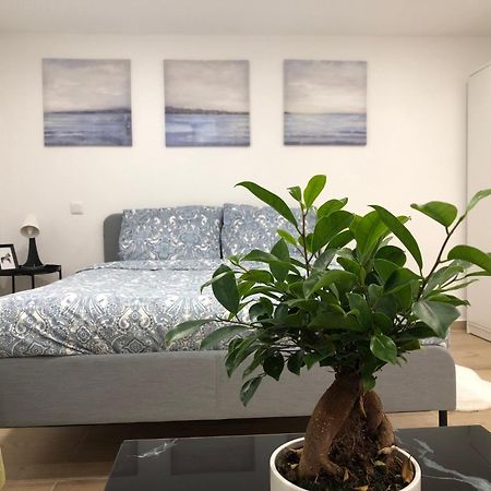 Grand F2 Confortable Saint-Denis  Exterior foto